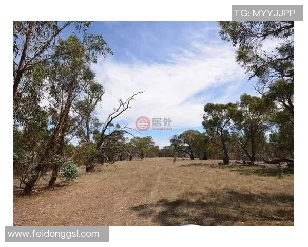 维多利亚与巴拉竟的精彩对决分析与赛后点评